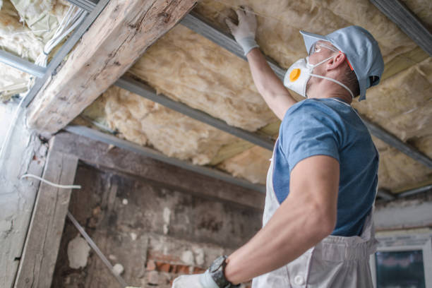Types of Insulation We Offer in Edgerton, WI