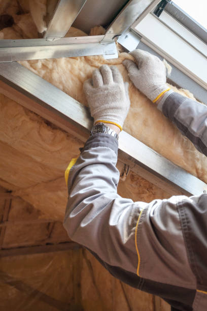 Best Insulation Maintenance and Repair in Edgerton, WI